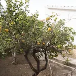 Villino Giulia Tatil Evi *
