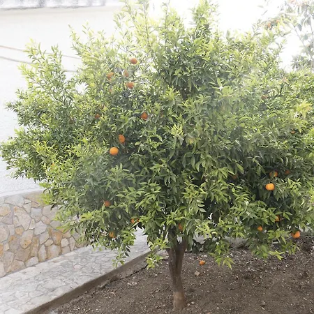 Villino Giulia Tatil Evi Trabia